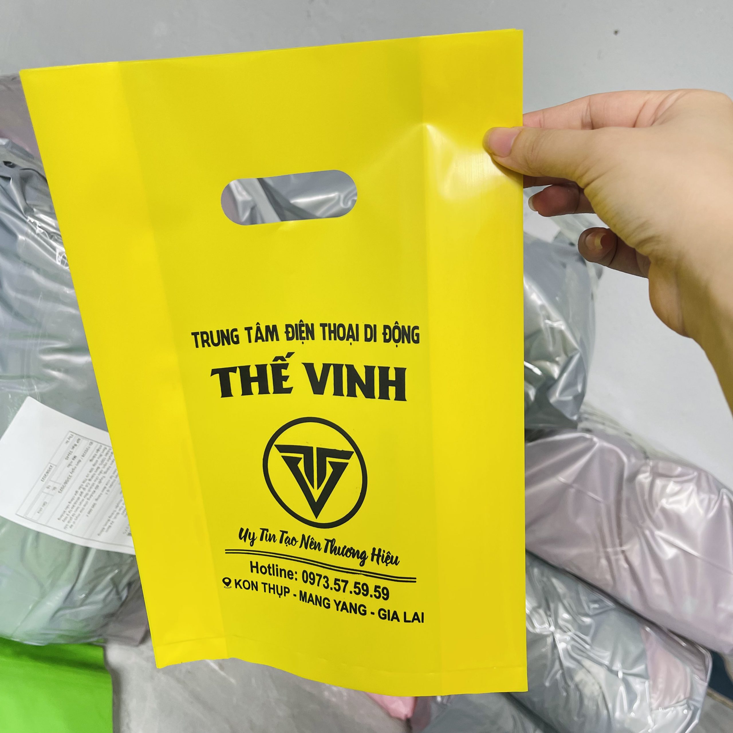 in túi ni lông Đà Nẵng